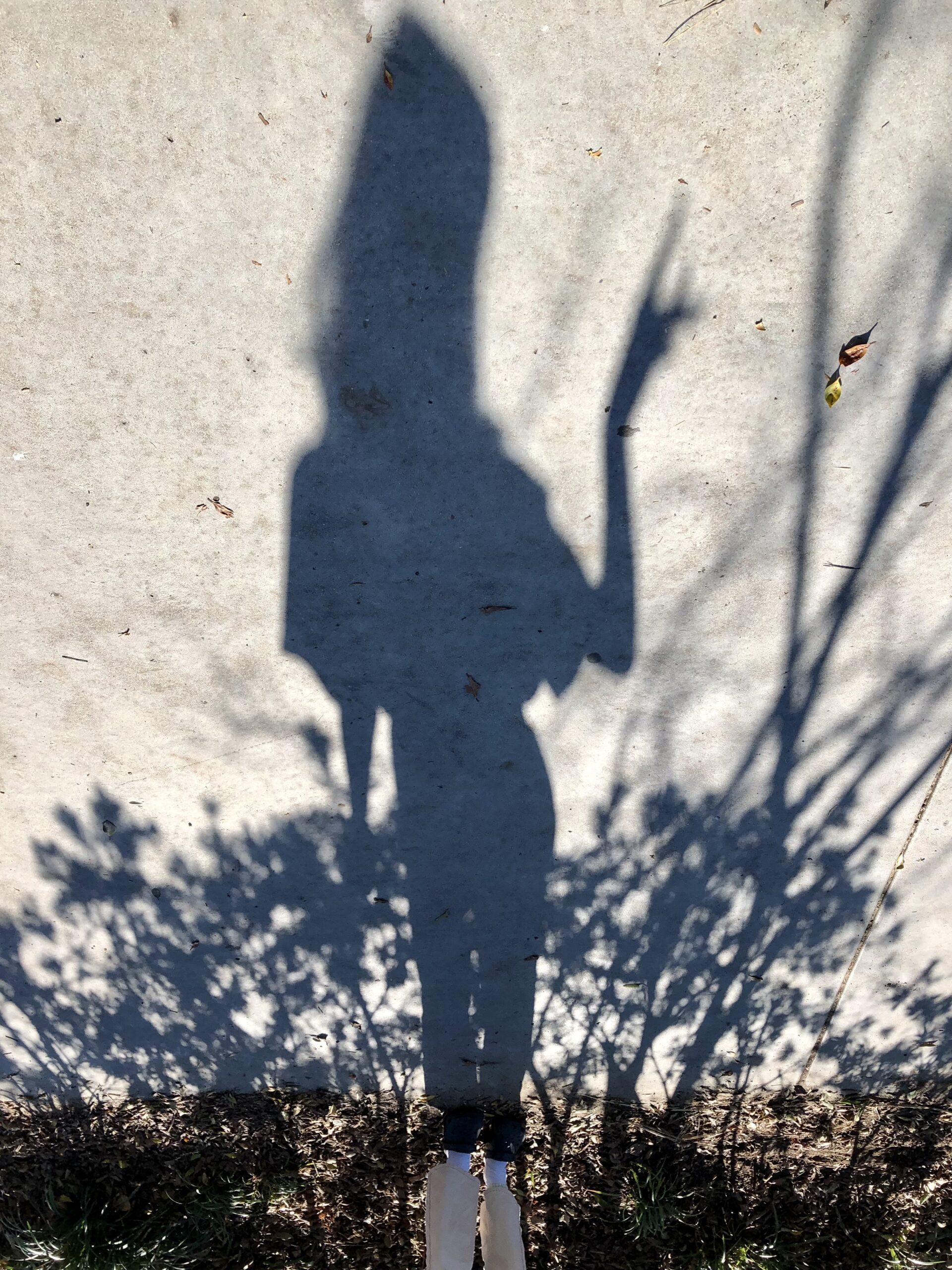 shadow photography of woman