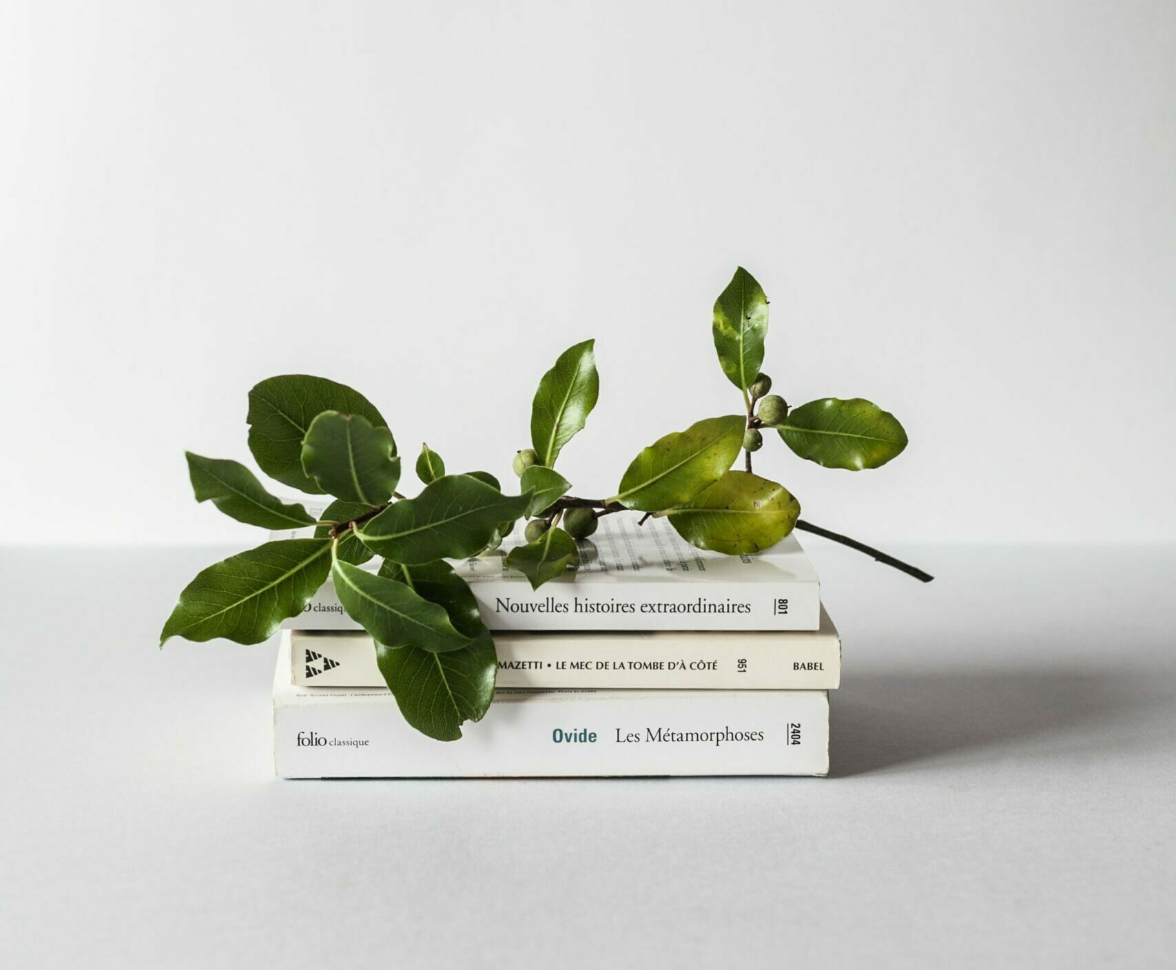 learn - books stacked with brach with leaves on top