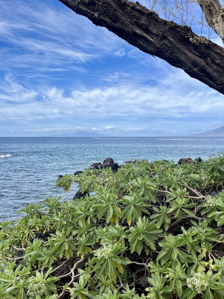 Maui | Hawaii