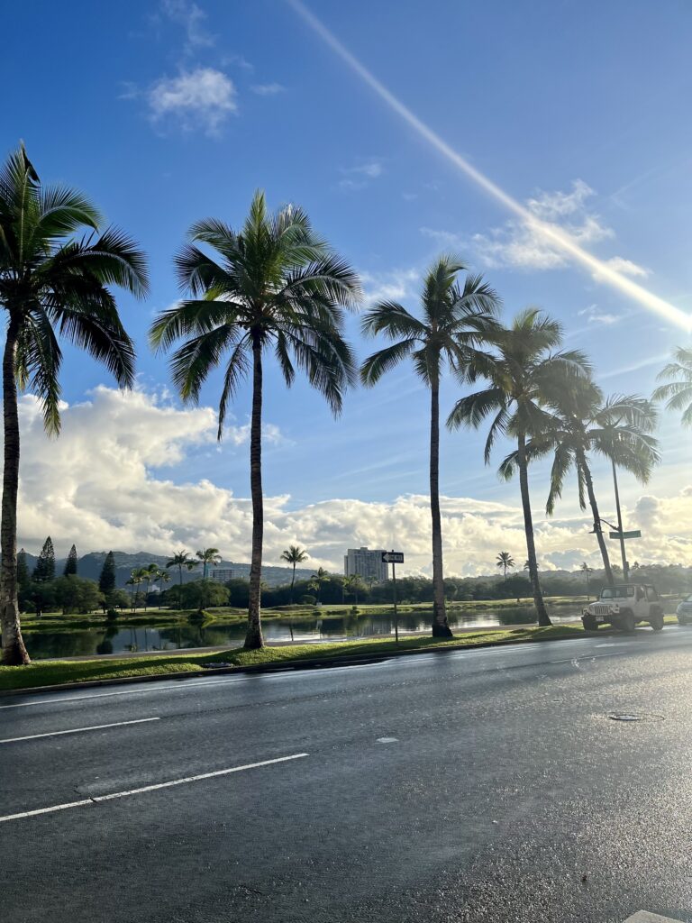 Waikiki | O'ahu | Hawaii