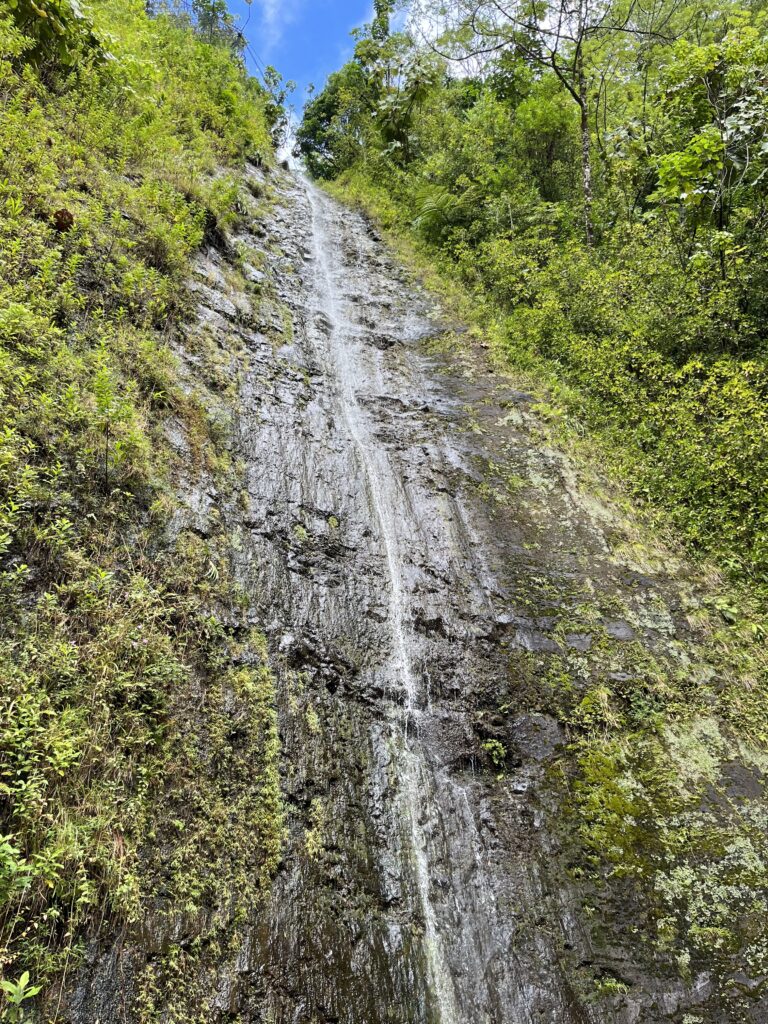 Mānoa Falls | O'ahu | Hawaii
