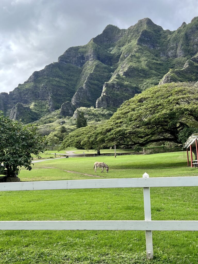 Kualoa Ranch | O'ahu, Hawaii